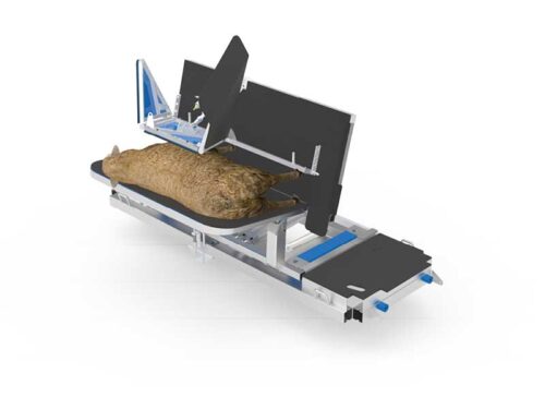 Auto Sheep Handler Tilt