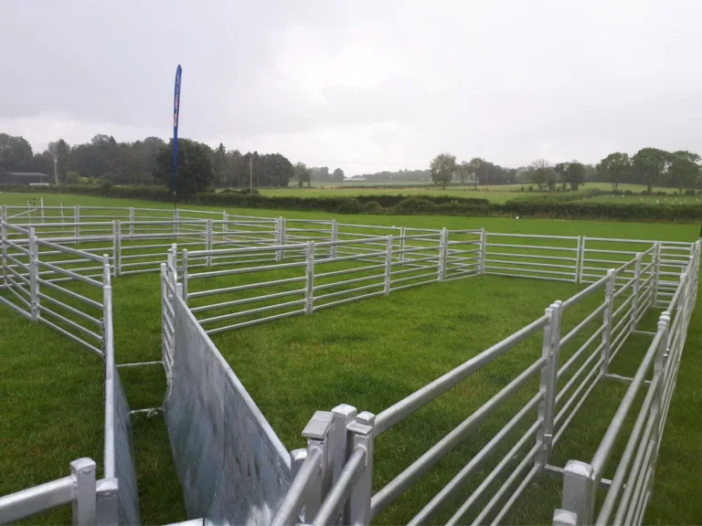 Semi-Permanent Sheep Yards