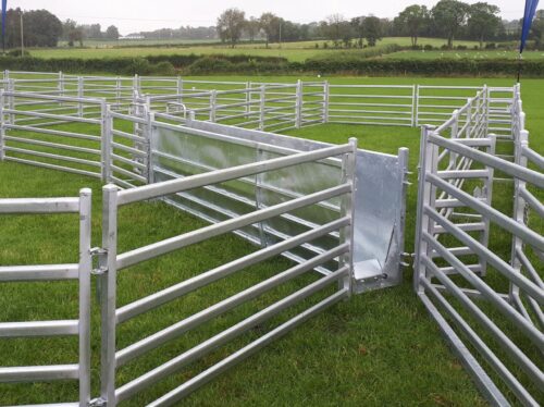 Clipex Calf Pens