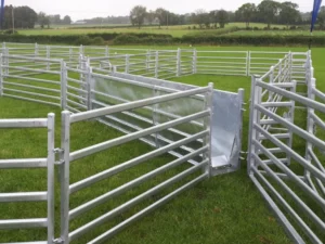 Sheep handling Yard