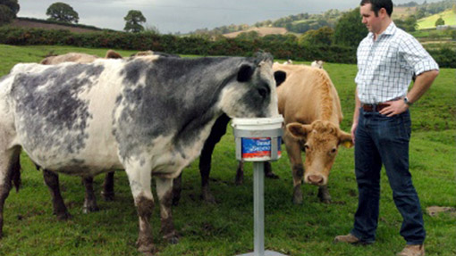 TB Buster and Alan from 2010