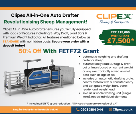 FETF Grant Auto Drafter