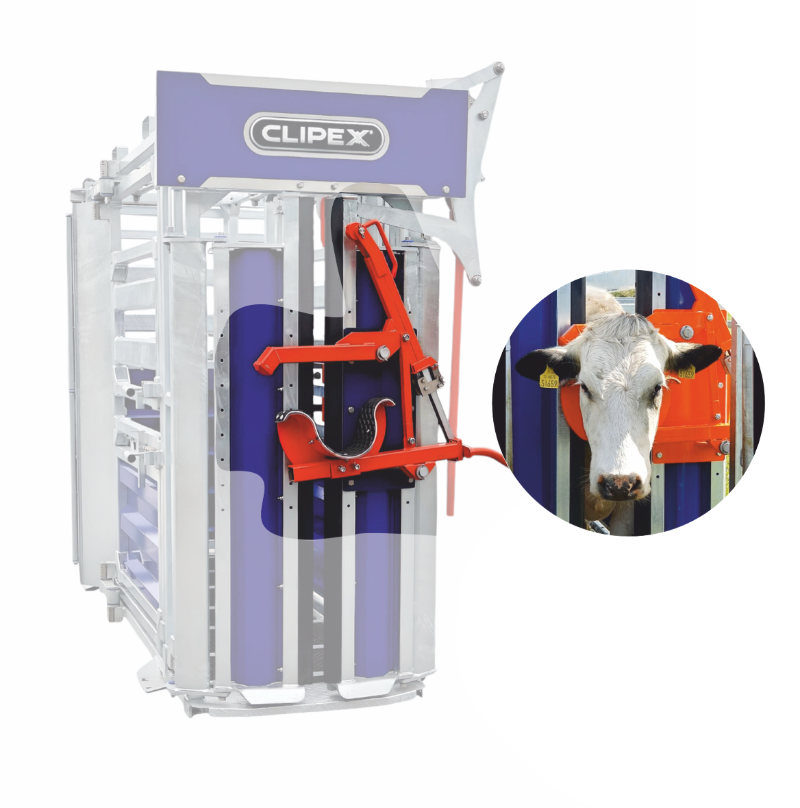 Head Scoop Cattle Crush Accessory