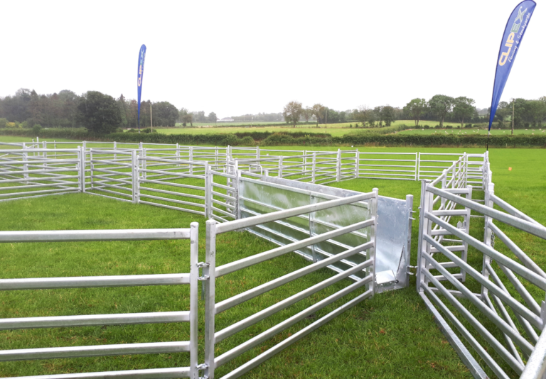 Semi Permanent Sheep Yard - Flock Management