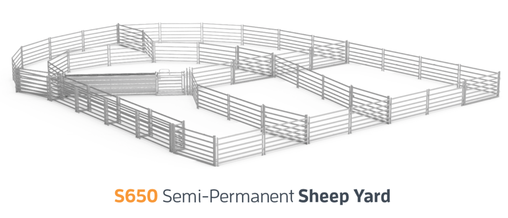S650 Semi Permanent Sheep Yard - Flock Management