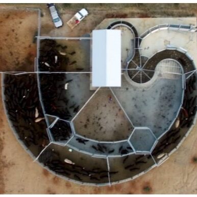 Force Tub and Semi Permanent Yard - The Most Common Yard Design Mistakes