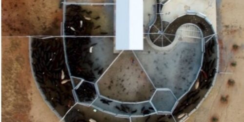 Force Tub and Semi Permanent Yard - The Most Common Yard Design Mistakes