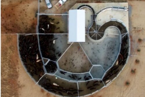 Force Tub and Semi Permanent Yard - The Most Common Yard Design Mistakes