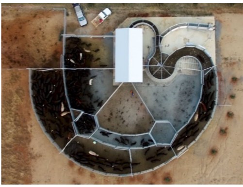 Force Tub and Semi Permanent Yard - The Most Common Yard Design Mistakes