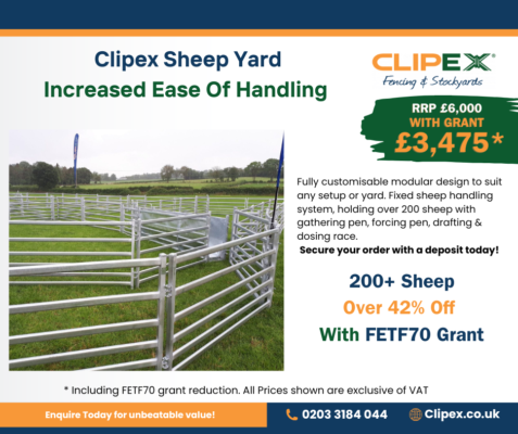 FETF Grant Sheep Yard