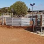 Stockyards - livestock handling advice
