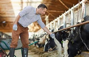 Universal Creep Feeder for TB Prevention