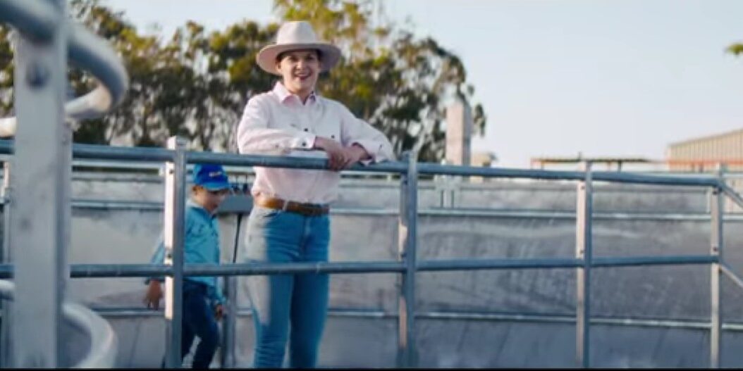 How Yard Design Impacts Stress Levels in Cattle