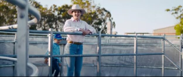 How Yard Design Impacts Stress Levels in Cattle