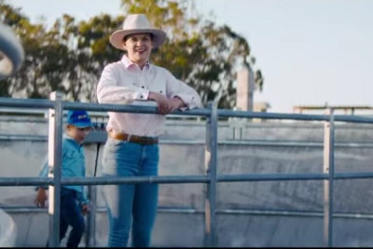 How Yard Design Impacts Stress Levels in Cattle