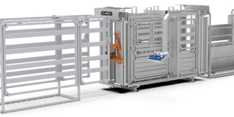 Integrate EID Readers Into Your Cattle Handling System