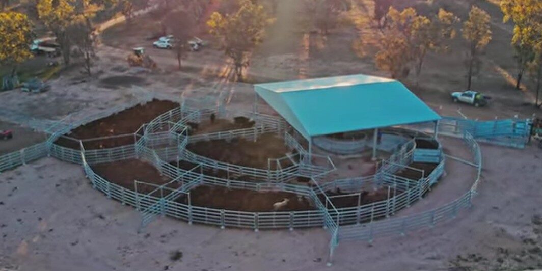 How to Reduce Labour in Livestock Handling