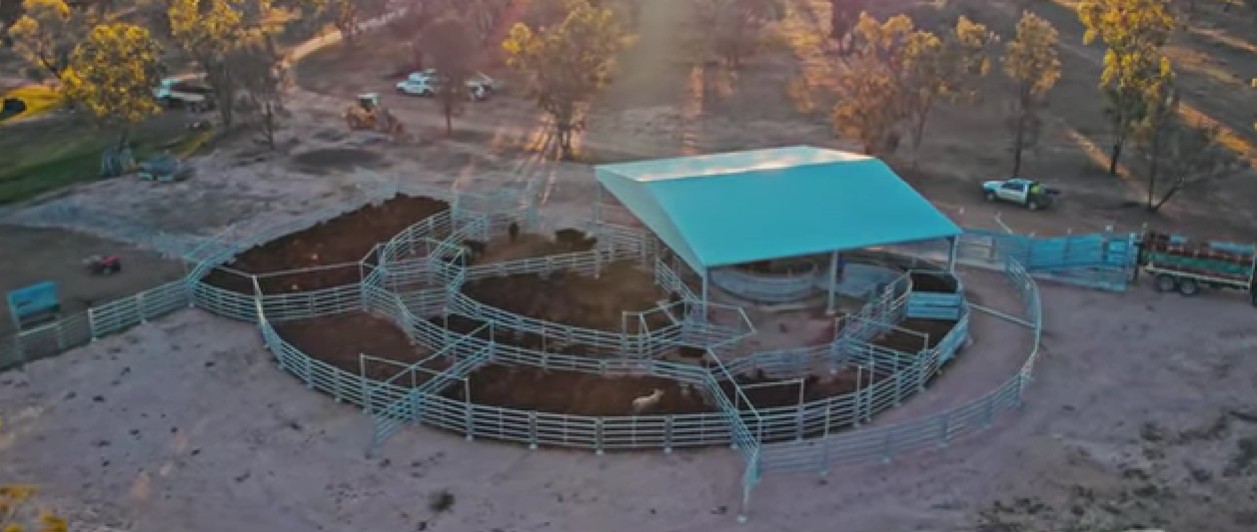 How to Reduce Labour in Livestock Handling