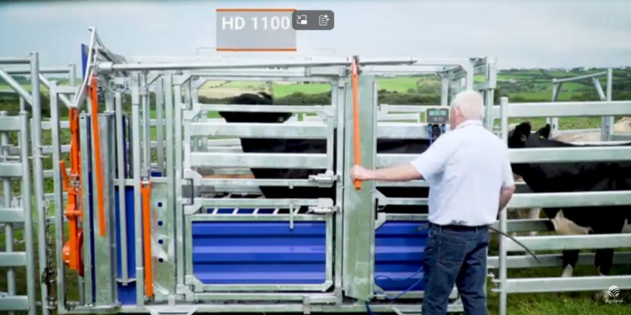 FETF Application 2026 FETF 2026 Application: How to Score Highly