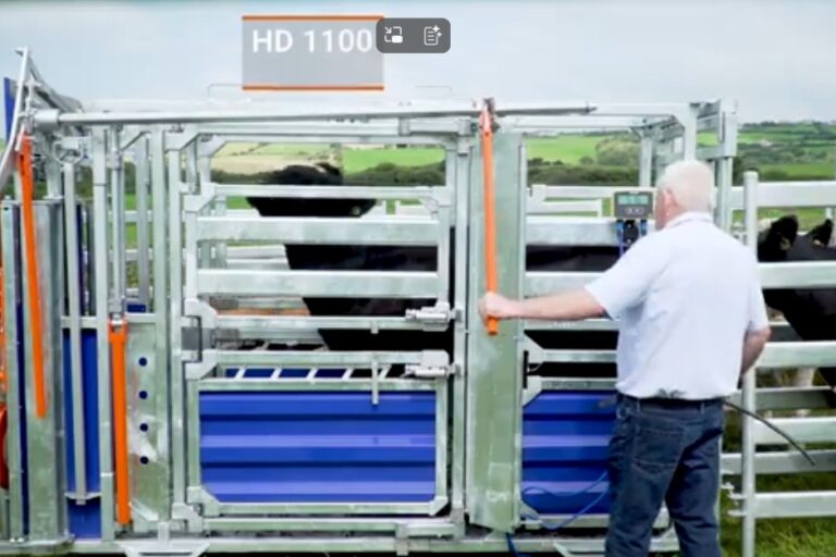 FETF 2026 Application: How to Score Highly