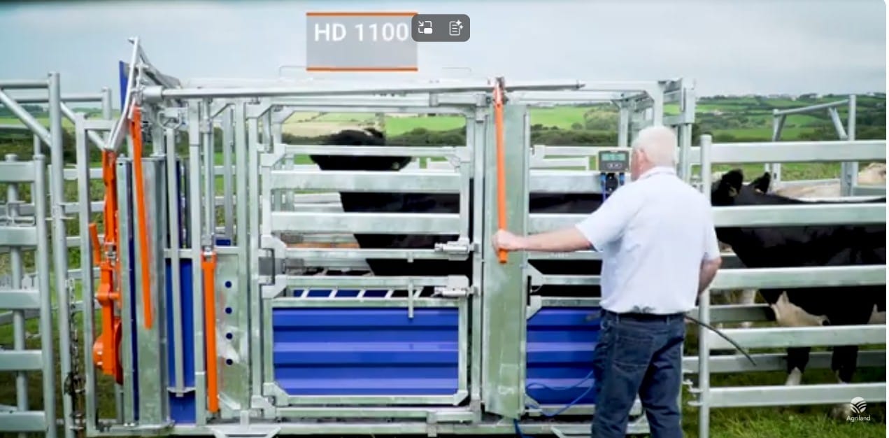 FETF 2026 Application: How to Score Highly