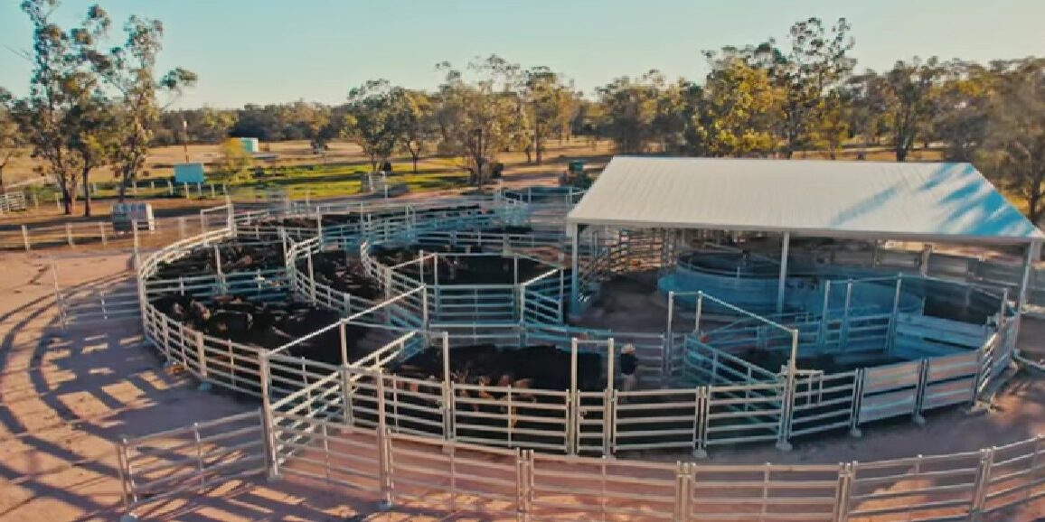 The Role of Handling Systems in TB Control