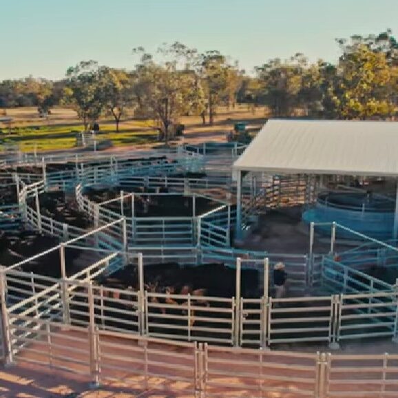 The Role of Handling Systems in TB Control