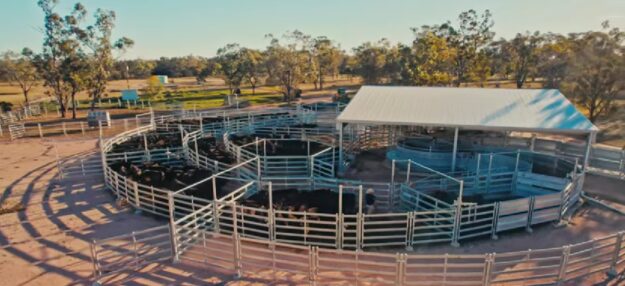 The Role of Handling Systems in TB Control