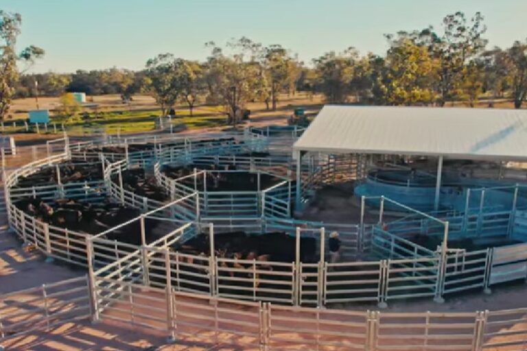 The Role of Handling Systems in TB Control