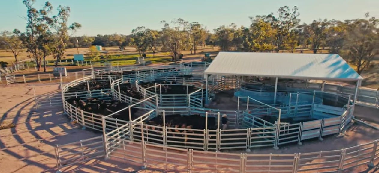 The Role of Handling Systems in TB Control