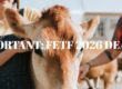 FETF 2026 grant approved cattle handling equipment - Grant Deadline