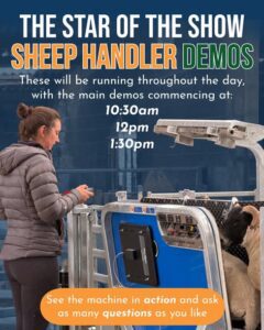 Sheep Handler Demos