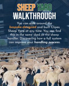 Clipex Sheep Yard Walkthrough Demos