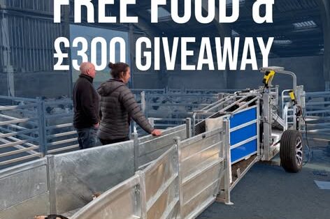 Clipex Sheep Handling Demo Day - Live Demos Free Food & £300 Giveaway