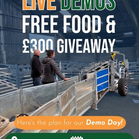 Clipex Sheep Handling Demo Day - Live Demos Free Food & £300 Giveaway