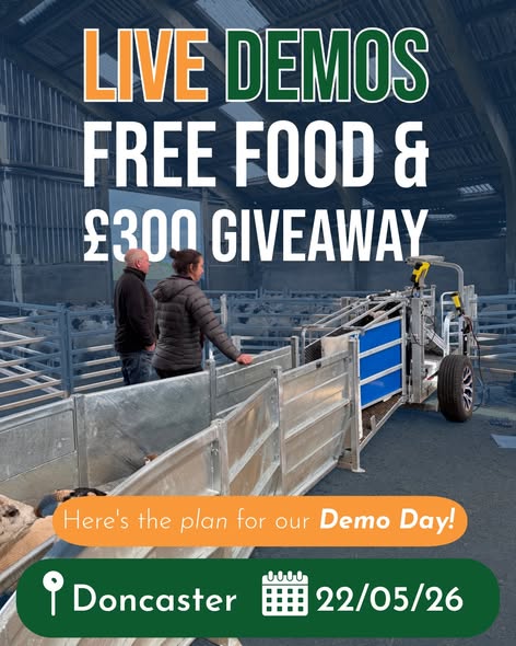 Demo Day – 698324929_17928385842281540_2766399752957950504_n Clipex Sheep Handling Demo Day - Live Demos Free Food & £300 Giveaway