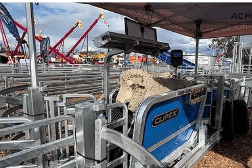 Mobile vs. Fixed Sheep Yards: