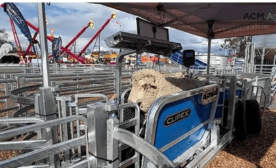 Mobile vs. Fixed Sheep Yards: