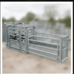 Calf handling and yard design