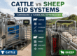 Cattle vs Sheep EID