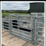 Cattle handling and yard design
