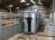 cattle isolation housing bovine tb