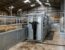 cattle isolation housing bovine tb