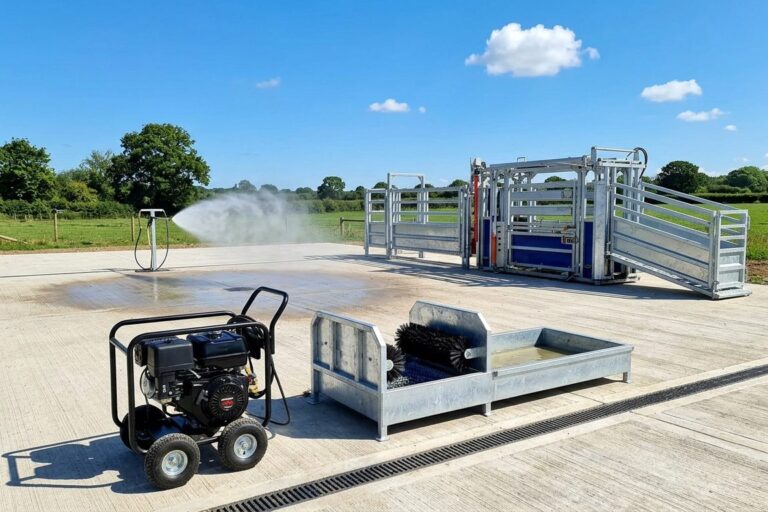 bovine tb disinfection protocols