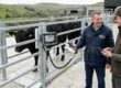 can you create an image for this post https://www.farmingsolutionsltd.com/livestock-eid-system-guide-readers-panels-weighing/