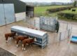 Bovine TB Risk Assessment