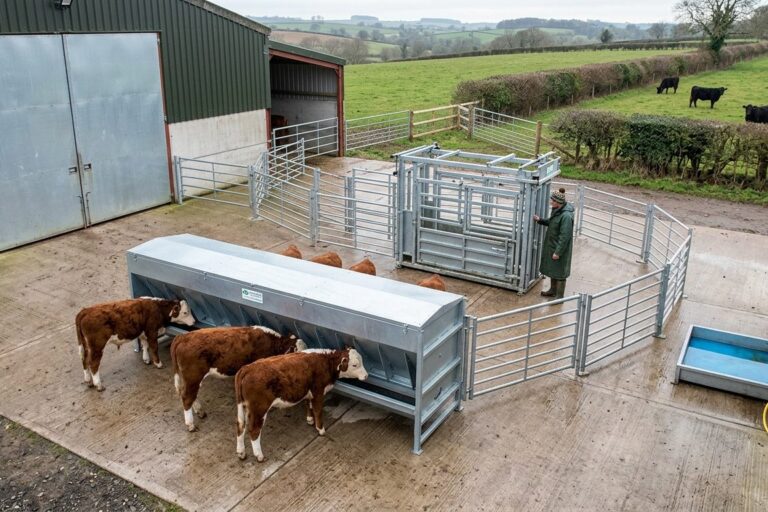 Bovine TB Risk Assessment