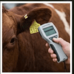 electronic identification