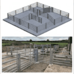 livestock handling and yard design