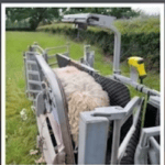 sheep equipment advice